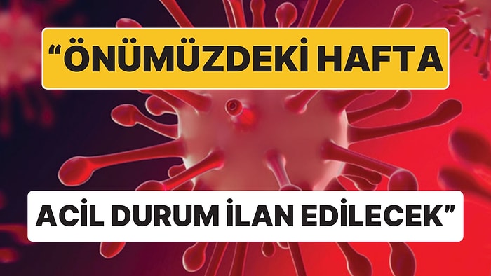 Maymun Çiçeği Varyantı Alarmı: Afrika'da Önümüzdeki Hafta Acil Durum İlan Edilecek!