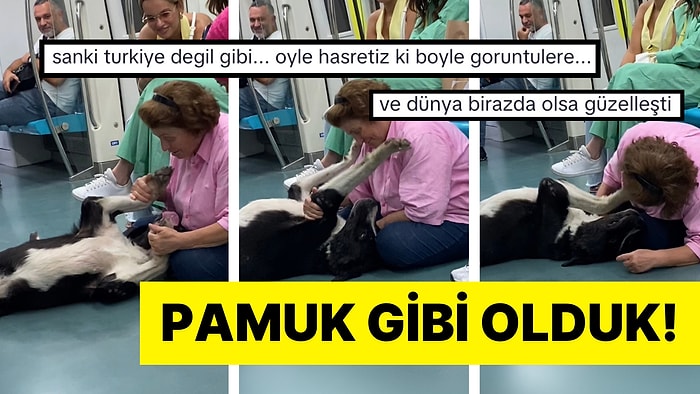 Marmaray’a Binen Köpekle Sevgi Dolu Anlar Yaşayan Kadın İçimizi Isıttı