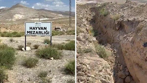 HAYFED Başkanı Nihal Kasa "Belediye görevlilerinin sabaha karşı bakımevinde öldürülmüş hayvanları her gün toplu biçimde araçla sabaha karşı bir alana götürüp orada attığını gördük" şeklinde açıklama yaparken belediye kaynakları bunu reddedip "kanuna ve vicdana uygun" bir uygulama içinde olduklarını açıklamıştı.