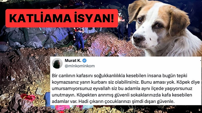 Altındağ'da Parçalanarak Öldürülen Köpekleri Gören İnsanlardan İsyan Çığlıkları Yükseliyor