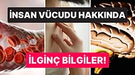 İnsan Vücudu Hakkında Genel Kültürünüzü Şaha Kaldıracak Birbirinden İlginç Hap Bilgiler