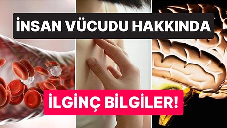 İnsan Vücudu Hakkında Genel Kültürünüzü Şaha Kaldıracak Birbirinden İlginç Hap Bilgiler