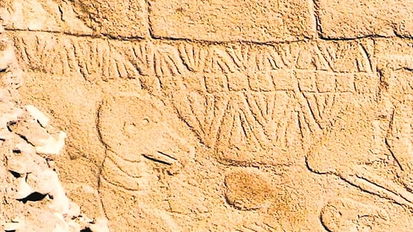 Göbeklitepe sakinlerinin 12 bin yıl önce 365 günlük takvim kullandığına dikkat çekilen haberde, bölgedeki kazıların 1994'ten beri devam ettiği ancak çok azının gün yüzüne çıkartılabildiğine vurgu yapıldı.