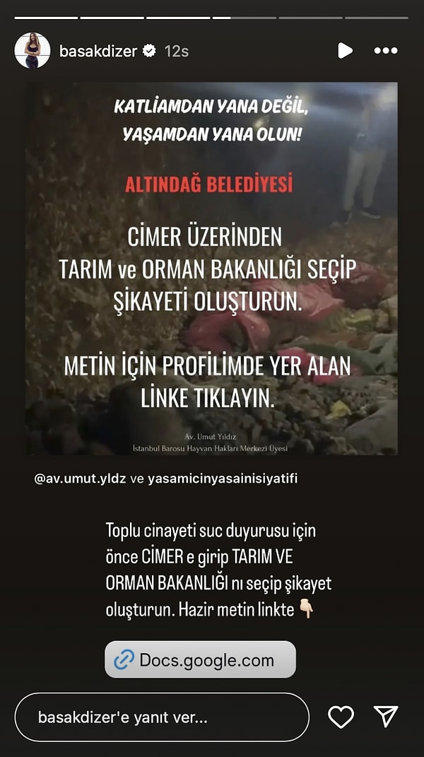 Başak Dizer 👇🏻