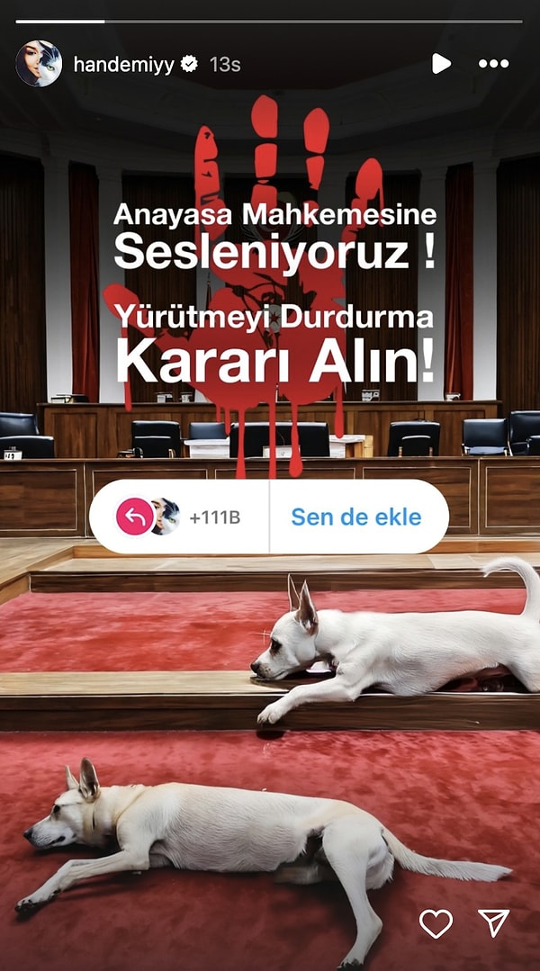 Hande Erçel de sokak hayvanları yasasına tepki gösterdi.