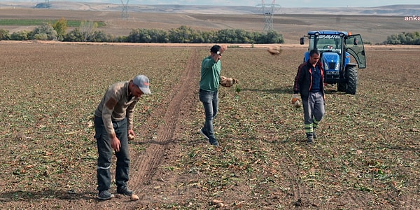 Diğer bir nedeni ise görüş açısının olması. Büyük tekerlekler önünüzde büyük bir engel oluşturabilir ve görüş alanını daraltabilir. Küçük ön tekerlekler, sürücünün daha geniş bir görüş açısına sahip olmasını sağlıyor.