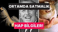 Öğrendikten Sonra Bilgi Şöleninde Boğulacağınız Ortamda Satmalık İlginç Bilgiler