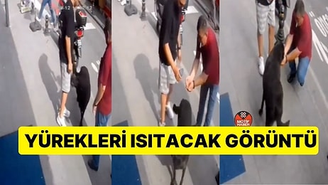 Yürekleri Isıtacak Görüntü: Kocaeli'de Bir Kişi Sokaktaki Köpeğe Eliyle Su İçirdi