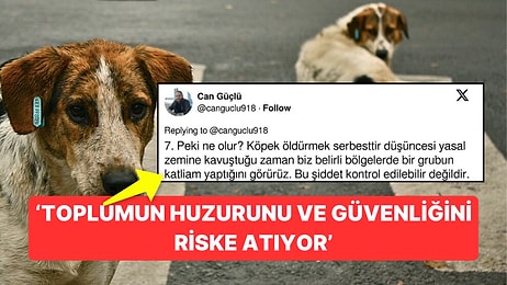 Köpek Katliamlarının Ayak Seslerini Duymuş 'Köpekleri Öldürmek Serbesttir Düşüncesi Katliamın Önünü Açar'