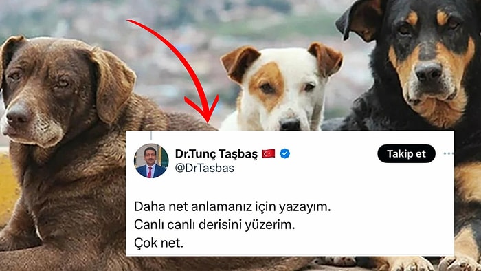 Sokak Köpekleriyle İlgili Kan Dondurucu Yorumlarda Bulunan Doktor Büyük Tepki Çekti