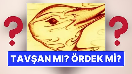 5 Saniye Bakmanız Yeterli: Bu Fotoğrafta Tavşan mı Görüyorsunuz Yoksa Ördek mi?