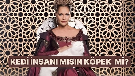 Kedi İnsanı mısın Köpek İnsanı mı?