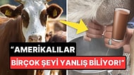 23 Milyon Amerikalı Çikolatalı Sütün Kahverengi İneklerden Geldiğine İnanıyor