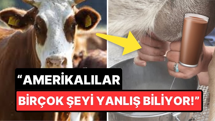 23 Milyon Amerikalı Çikolatalı Sütün Kahverengi İneklerden Geldiğine İnanıyor