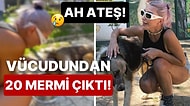 Av Tüfeğiyle Acımasızca Vurulan Köpeği Sahiplenen Hande Yener Ateş'ini Ziyaret Etti!