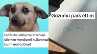 Küfürsüz de Komik Olunabileceğini Kanıtlayan Kadınlardan Haftanın En Çok Güldüren Tweetleri