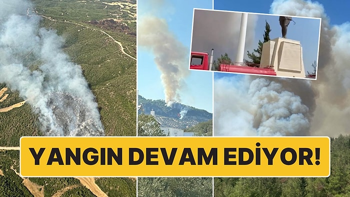 Çanakkale'de Orman Yangını Büyüyor: Alevler Anzak Koyu Yoluna İndi, Conkbayırı Ziyarete Kapatıldı