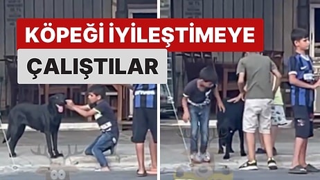 Köpeğin Gözünün Açılmadığını Gören Şefkatli Minikler Köpekle Böyle İlgilendi