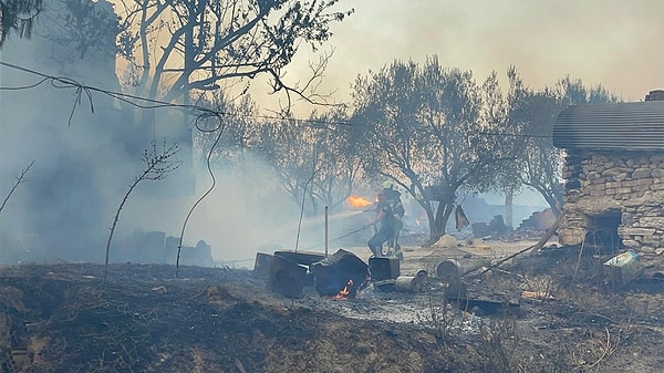 Boyalı ve Kayacık mahallelerinde 14 Ağustos'ta çıkan orman yangınları, bölgedeki rüzgarın ve arazinin sarp yapısı nedeniyle yayılmaya devam ederken, yangına havadan ve karadan müdahale sürüyor.