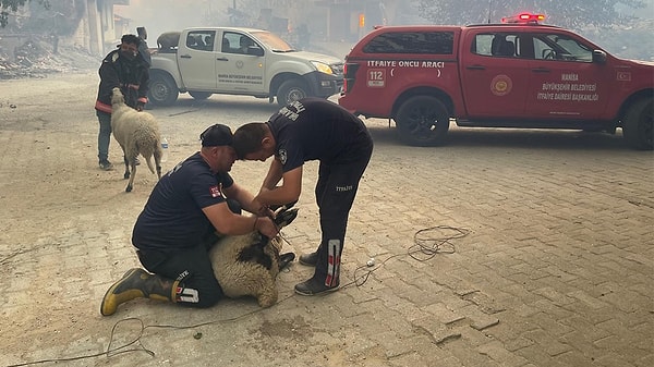 Gördes'ten Salihli ilçesi sınırlarına ulaşan yangın, 418 personel, 3 uçak, 9 helikopter, 70 arazöz, 17 su ikmal aracı, 8 dozer, 6 yer ekibi ile Manisa Büyükşehir Belediyesi İtfaiye Dairesi Başkanlığı ekipleri ve emniyet ve jandarmanın 4 TOMA'sı ile kontrol altına alınmaya çalışılıyor.