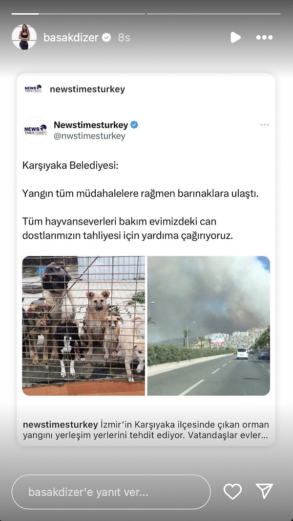 Başak Dizer 👇🏻