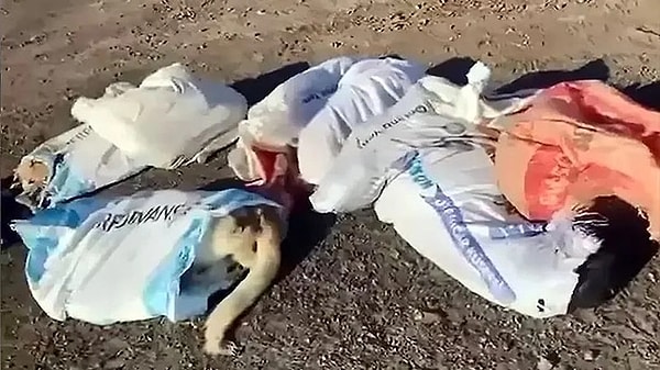 Edirne'nin Uzunköprü Belediyesine ait vahşi depolama alanında çuvallar içinde ölü köpekler bulunmuştu. Bu olay sonrası Jandarma Suç Araştırma timlerinin yaptıkları çalışma sonucu 4 şüpheli gözaltına alındı. Ancak şüphelilere ilişkin yeni bir gelişme yaşandı.