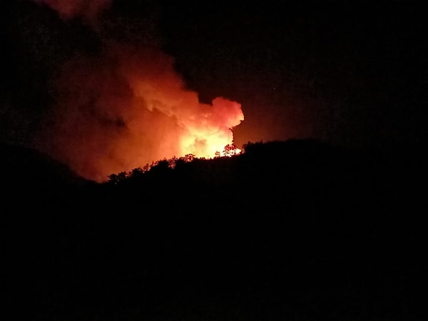 Bolu’nun Göynük ilçesindeki orman yangını da iki gündür devam ederken, havadan müdahaleye sabaha kadar ara verildi. Yangına karadan müdahale sürüyor. Trafiğe kapalı olan Göynük- Nallıhan yolunda ise yalnızca görevli ve yardım götürmek isteyen araçların geçişine izin veriliyor.