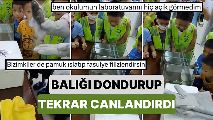 Balığı Dondurup Geri Canlandırdı: Çin'de Bir Öğretmen Sıvı Nitrojenle Yaptığı Deneyle Öğrencilerini Büyüledi