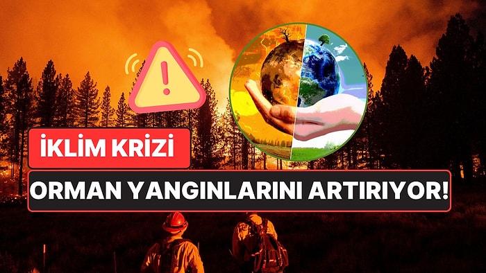 Orman Yangınları Üstel Artış Gösteriyor: İşte İklim Krizinin Endişe Verici Sonuçları Üzerine Yapılan Araştırma