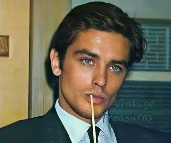 Dünyanın şüphesiz en yakışıklı aktörleri arasında yer alan Fransız sinema oyuncusu Alain Delon 88 yaşında hayatını kaybetti.