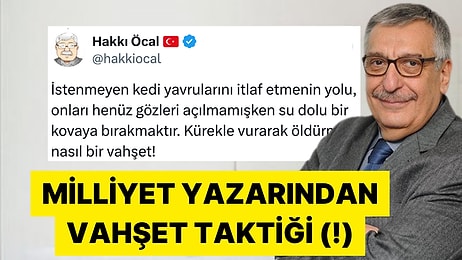 Milliyet Gazetesi Yazarının Yavru Kedi Öldürme Tarifine Tepki Yağdı