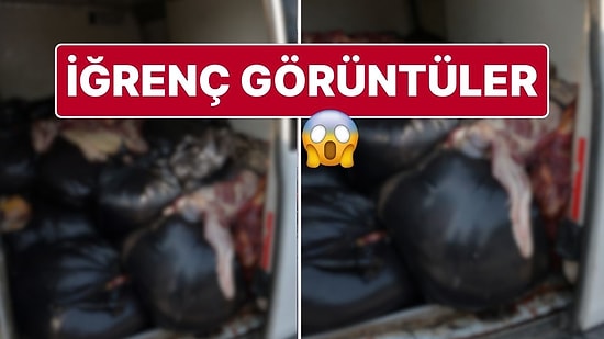 Aracında 1,5 Ton Tek Tırnaklı Hayvan Eti Çıktı: ‘Akrabalarıma Dağıtacaktım’ Dedi