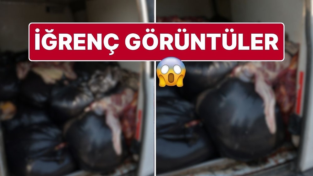 Aracında 1,5 Ton Tek Tırnaklı Hayvan Eti Çıktı: ‘Akrabalarıma Dağıtacaktım’ Dedi