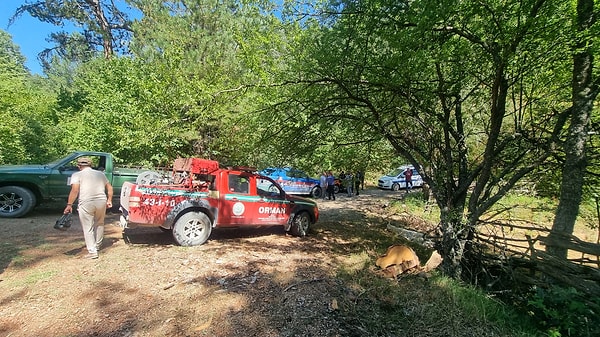 Ölü bulunan 13 köpekle ilgili başlatılan soruşturma sürüyor.