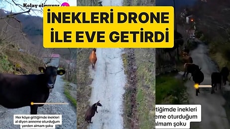 Köydeki İnekleri Oturduğu Yerden Toplayan Genç: İnekleri Drone ile Bulup Eve Kadar Getirdi