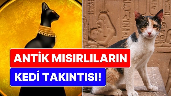 14. Antik Mısırlıların Kedi Takıntısı: Neden Bu Kadar Çok Seviliyordu?