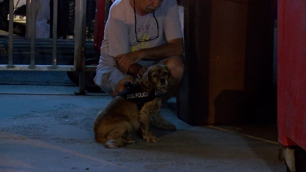 Denize düşen 3 kişi ve 1 köpeği teknesine alan kurtaran kaptan Akın Bektaş, "Biz Kireçburnu’na gidip gelecektik. Tarabya marinadan çıktık. Orada arkadaşlar sahilden bağırdılar, ne olduğunu anlayamadık ilk başta, motoru stop ettik. Derinden bir ses gelmeye başladı açıktan. Arkadaşları gördük, aradık bir 10 dakika, arkadaşları bulduk, tekneye aldık marinaya getirdik. Polisi aradık. 3 kişi bulduk, 4 kişilermiş. Biri tekne battığında kaybolmuş zaten, öyle söylediler. Tekne vilayet evinin oralarda batmış. 1 tanesi bayağı bir yorulmuştu, 2 tanesi de pek de iyi bir bir durumda değildi. 40 dakikadır suda olduklarını söylediler. Üçü de erkekti, yanlarında bir de köpekleri vardı” dedi.