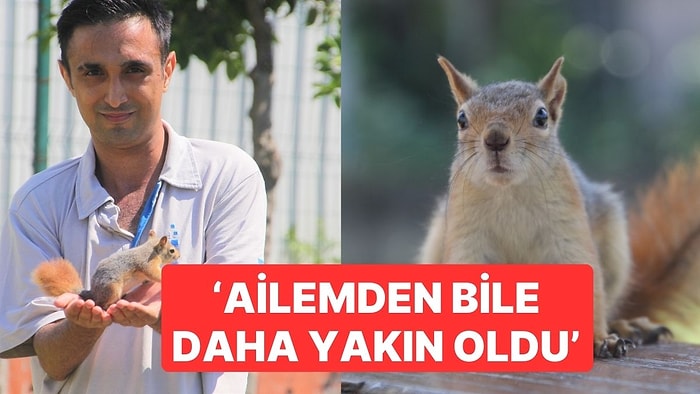 Yaralı Olarak Bulup, Tedavi Ettiği Sincap En İyi Arkadaşı Oldu: 'Ailemden Bile Daha Yakın Oldu Bana'