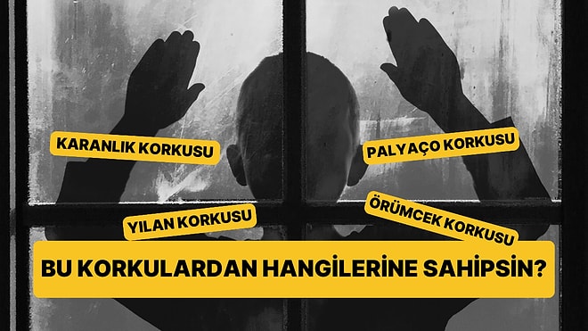 Bu Korkulardan Sahip Olduklarını Seç, Anksiyete Seviyeni Söyleyelim!