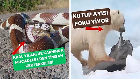 Doğanın Korkutucu Yüzünü İliklerinize Kadar Hissetmenize Sebep Olacak Birbirinden Ürkütücü 15 Yeni Fotoğraf