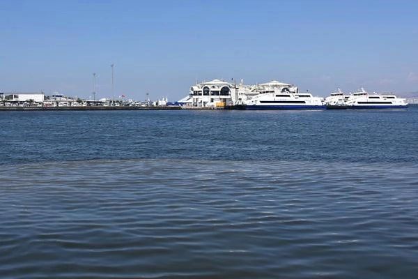 "Ayrıca bu canlıların popülasyonundaki aşırı artış, bulundukları suyun yüzeyinin kızılımsı-kahverengi bir görünüme bürünmesine de neden olmaktadır. Bununla birlikte plankton patlamasıyla sudaki çözünmüş oksijen miktarının oldukça azalmasının balıkların ölümüne sebebiyet verdiği düşünülmektedir.”