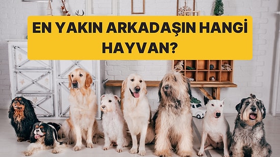 En Yakın Arkadaşın Hangi Hayvan?