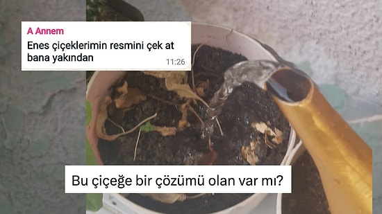 Annesinin Çiçeklerini Sulamayı Unutan Üşengeç Evlat Yardım Çağrısında Bulundu