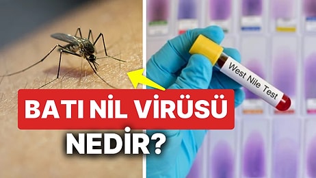 Batı Nil Virüsü Nedir? Batı Nil Virüsü Belirtileri Nelerdir ve Nasıl Bulaşır?