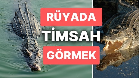 Rüyada Timsah Görmek: Gerçekler Göründüğü Gibi Olmayabilir!