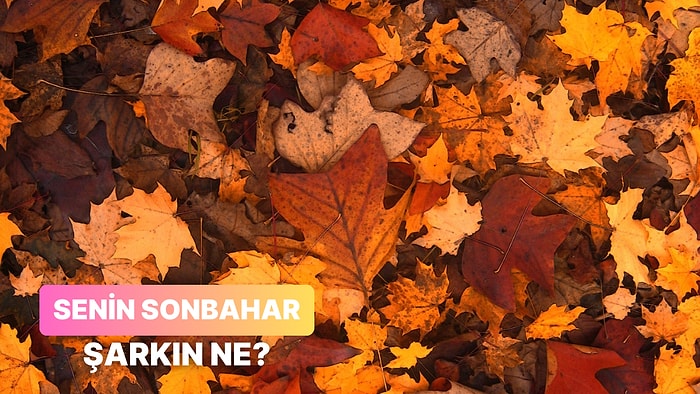 Seçimlerine Göre Senin Sonbahar Ruhunu Yansıtacak O Şarkı Ne?