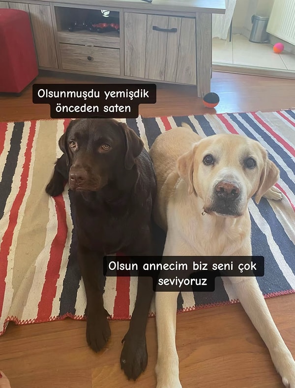 Bu da başka bir post