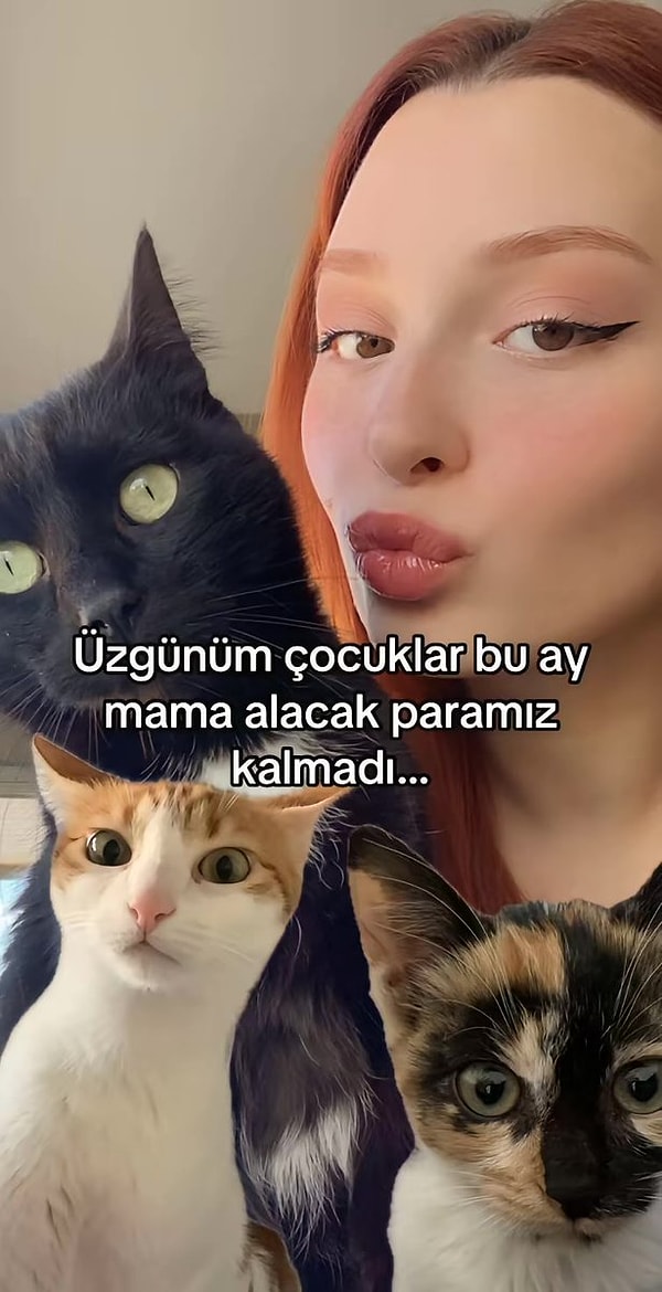 Yine bir kedi kurnazlığı