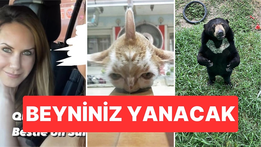 İlk Bakışta Anlam Veremeyerek Durup Dururken Beyninizin Ayarlarıyla Oynayan Birbirinden İlginç Görseller