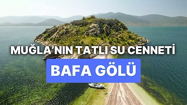 Türkiye'nin güneybatı kıyısında yer alan Bafa Gölü, doğa severler için mükemmel bir kaçış noktasıdır. Binlerce yıl boyunca birçok medeniyete ev sahipliği yapan bu yer, ziyaretçilerine hem doğanın cömertliğini hem de antik çağların sessiz fısıltılarını sunmaktadır. Peki Bafa Gölü nerede, nasıl gidilir? Bafa Gölünde neler yapılır?